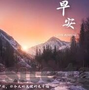 成人免费网站免费视频-成人内容与网络伦理的边界，理性探讨与自我保护