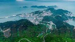 大象传媒-探索大象传媒，塑造文化桥梁的坚实力量