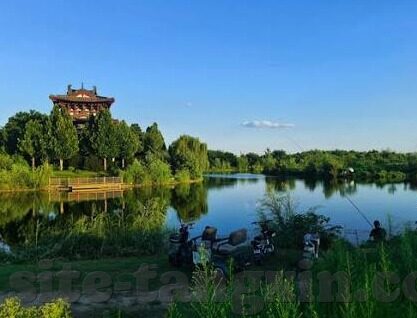 麻豆传媒视频app免费-聚焦数字娱乐新趋势，麻豆传媒视频生态初探