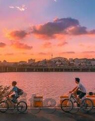 麻豆文化传媒免费网址-麻豆文化传媒——探索数字时代的艺术与娱乐新领域