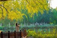 糖心vlog有毒-揭秘糖心Vlog，当娱乐与迷惑并行
