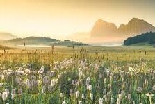 一区二区三区在线-跨越数字鸿沟，一区二区三区的在线融合之旅
