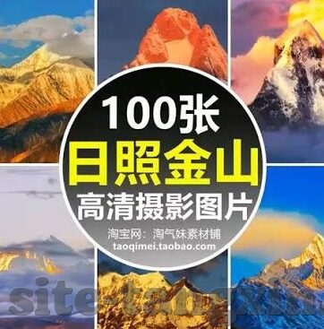 中文字幕在线一区-探索中文字幕在线一区的多元文化与学习价值